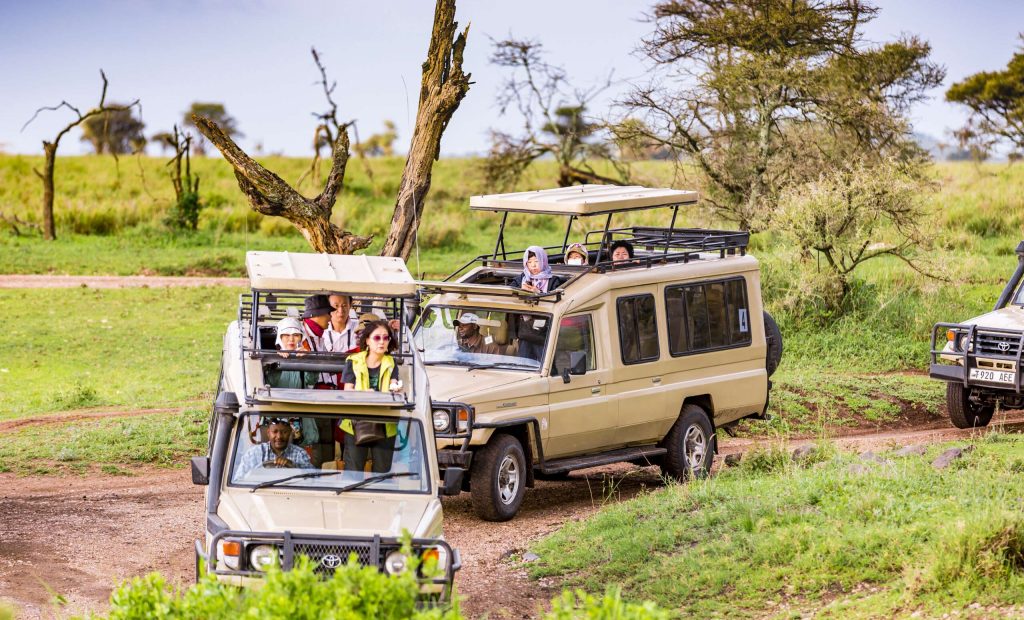 Serengeti, Tanzania - January 14, 2014: Appearance from Serengeti National Park with safari vehicles. Tourists at Safari at Serengeti forest and bushes with 4X4 Vehicles. They are watching wildlife.