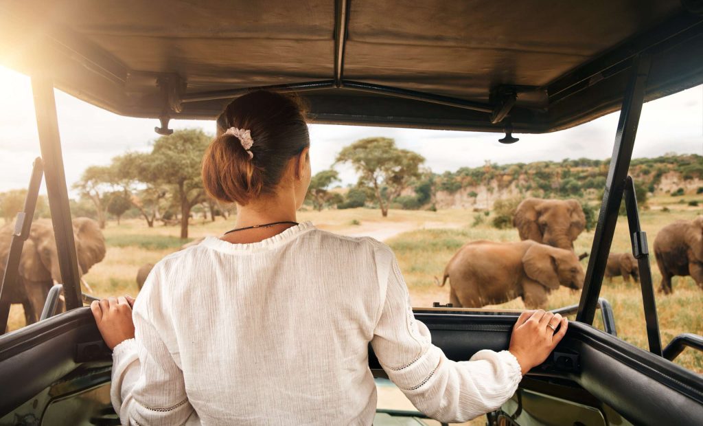 Woman tourist on a safari in Africa, traveling by car with an open roof in Kenya and Tanzania, watching elephants in the savannah. Tarangire National Park.