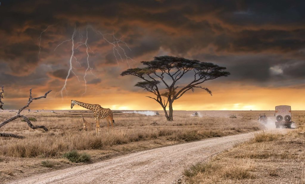 This photo was taken in Serengeti national park while we did a game drive safari looking for the big five animal.It was thunderstorm coming .